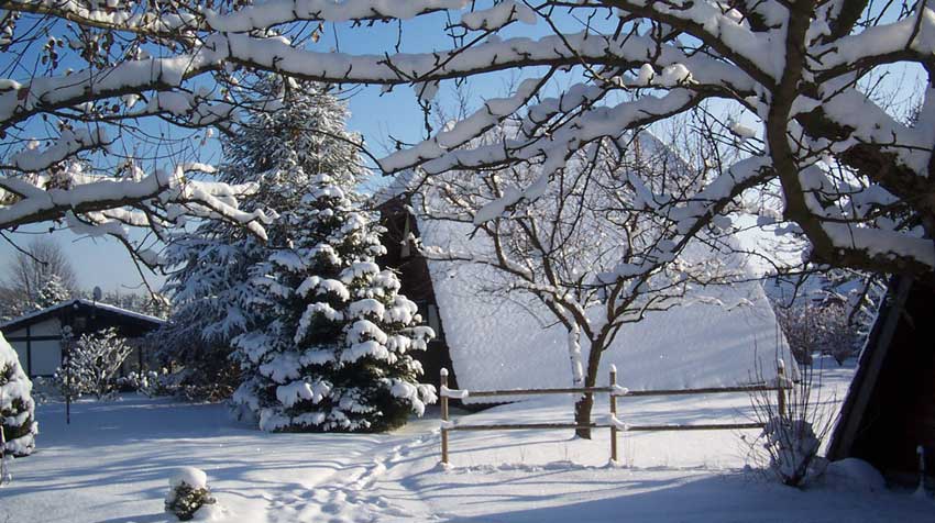 Wintersport